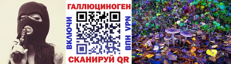 Псилоцибиновые грибы прущие грибы  kraken рабочий сайт  Кукмор 